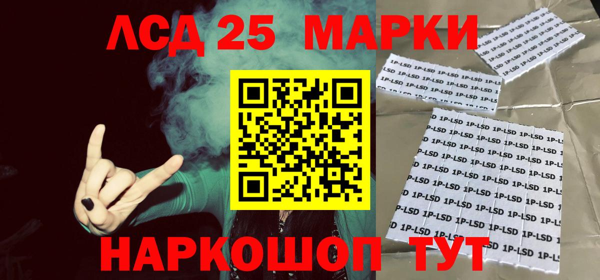 Сокол    вход  Вход с VPN  ЛСД экстази  Лсд 25 экстази кислота  Лсд 25 экстази ecstasy 