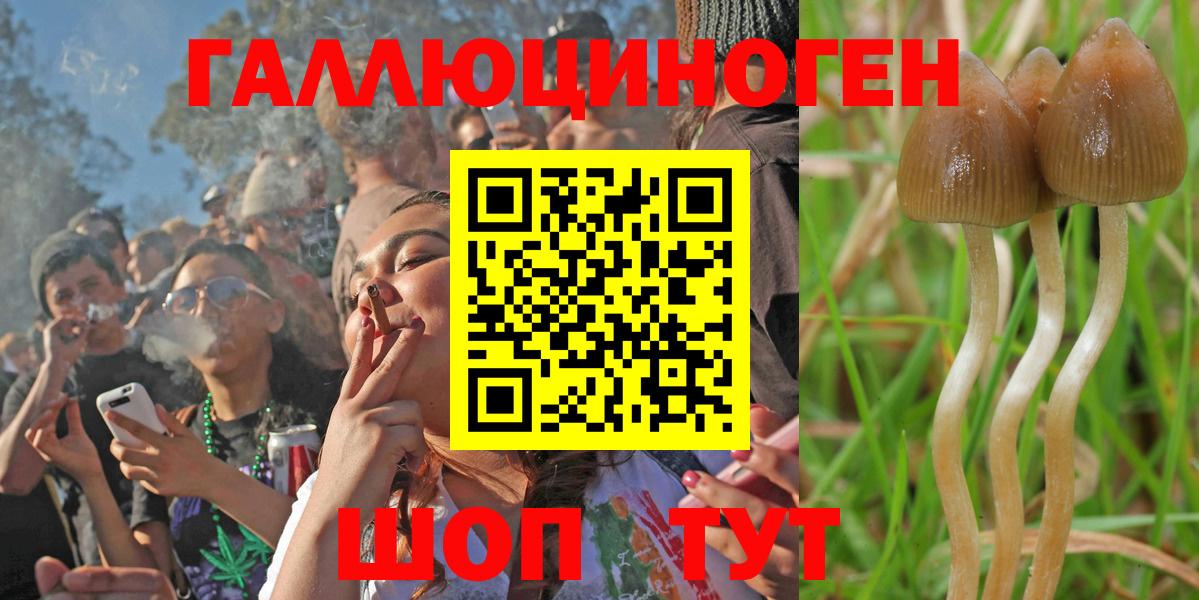 Псилоцибиновые грибы Psilocybe  Вход с VPN  купить наркотики цена  Сокол  Галлюциногенные грибы мухоморы 
