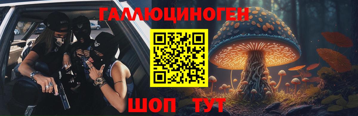 Галлюциногенные грибы Psilocybine cubensis Сокол
